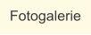 Fotogalerie